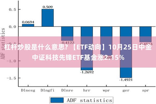 杠杆炒股是什么意思? 【ETF动向】10月25日中金中证科技先锋ETF基金涨2.15%