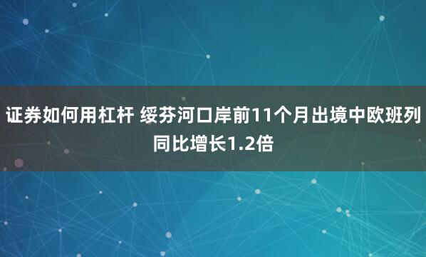 证券如何用杠杆 绥芬河口岸前11个月出境中欧班列同比增长1.2倍