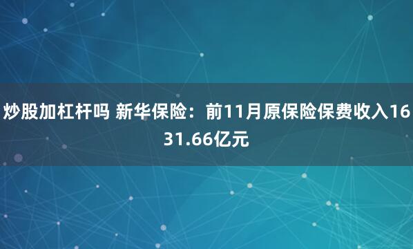 炒股加杠杆吗 新华保险：前11月原保险保费收入1631.66亿元