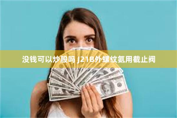 没钱可以炒股吗 J21B外螺纹氨用截止阀